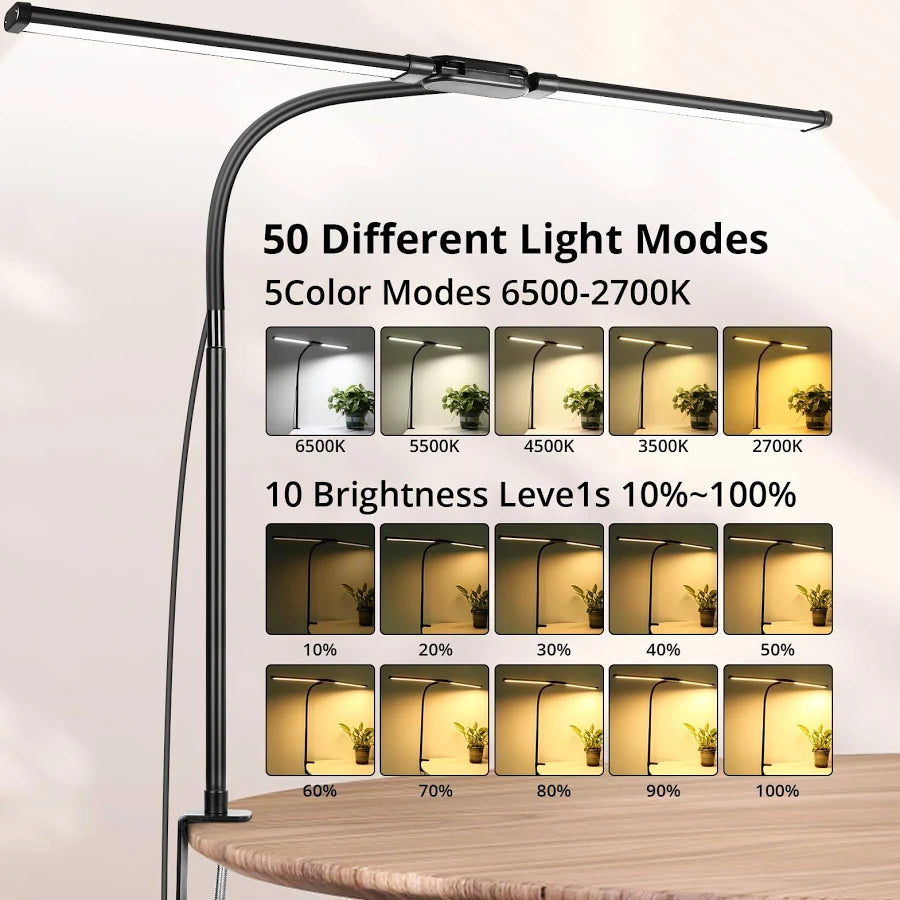 Studio Glow Lamp