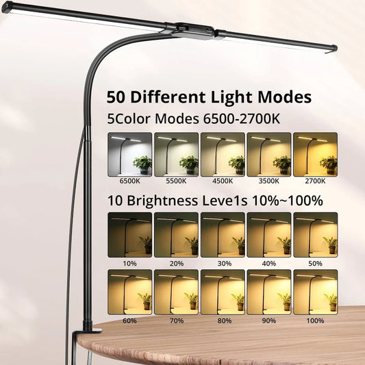 Studio Glow Lamp